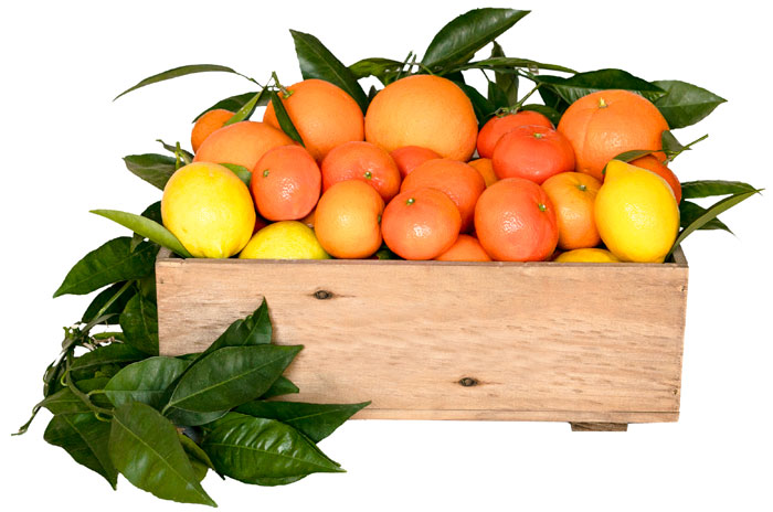 frutas-huerta-valencia frutas-huerta-valencia